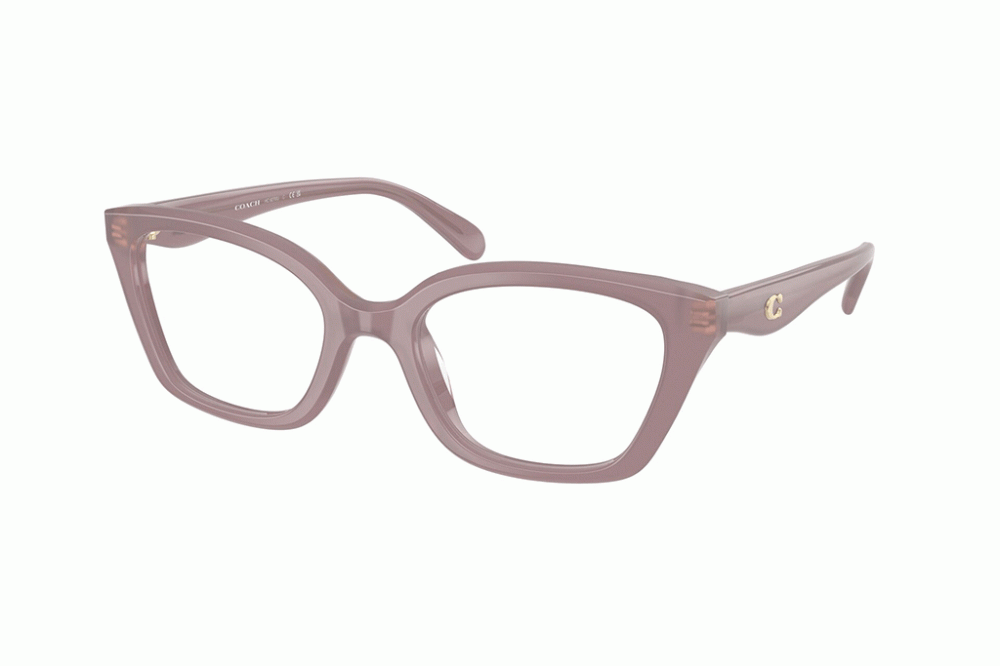 Coach 6270U - Rosa